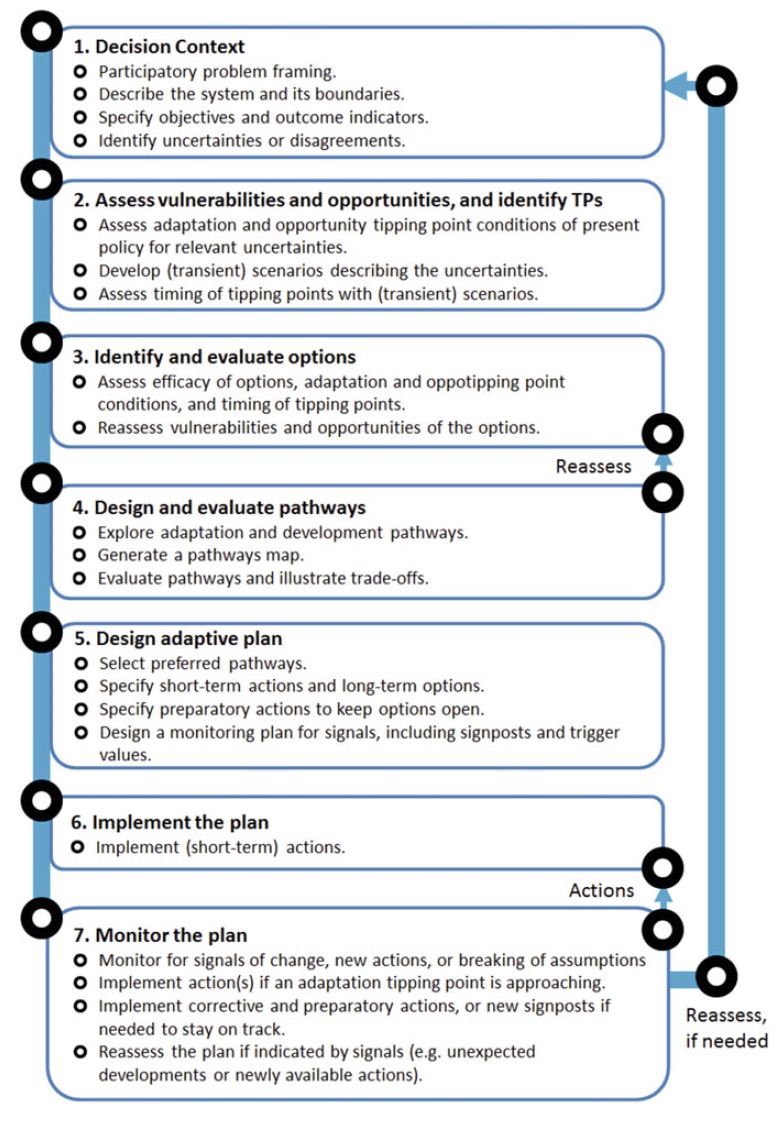 Description of the seven steps to implement the DAPP framework process from problem framing to evaluation and monitoring of a plan.